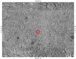 Daedalus crater 